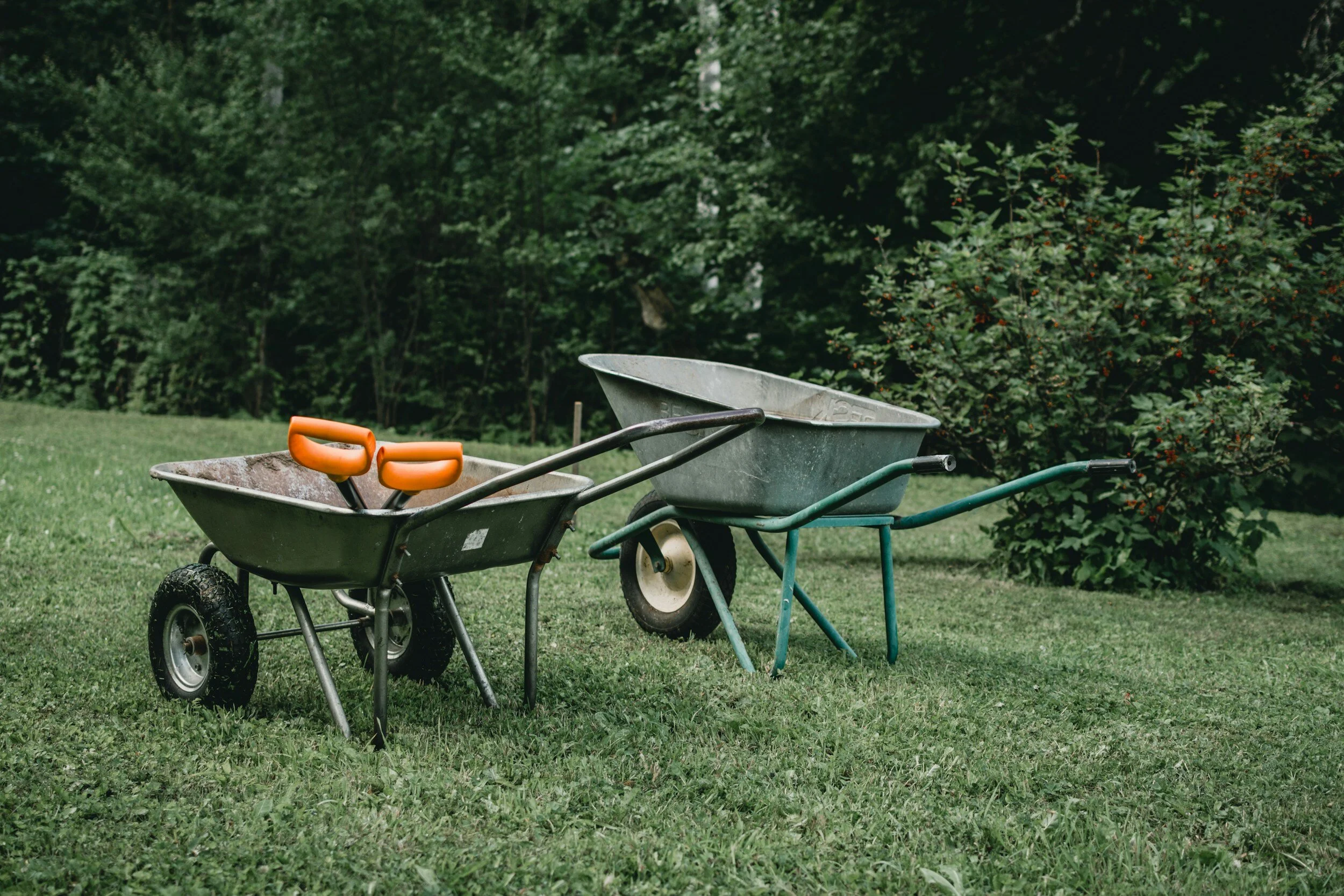 The Best Gardening Tool Sets for Every Gardener Meadowlark Journal